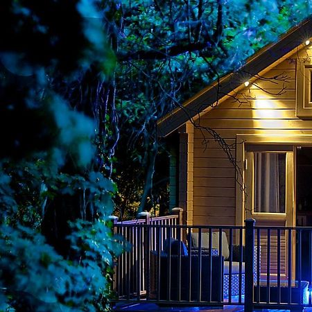 Alum Chine Log Cabin Villa Bournemouth Exterior photo